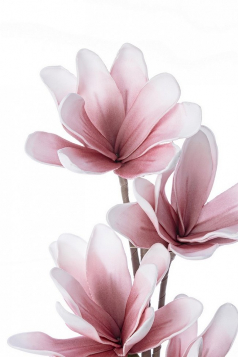 DECORATIUNE MAGNOLIE ROZ X4F H92 [2]
