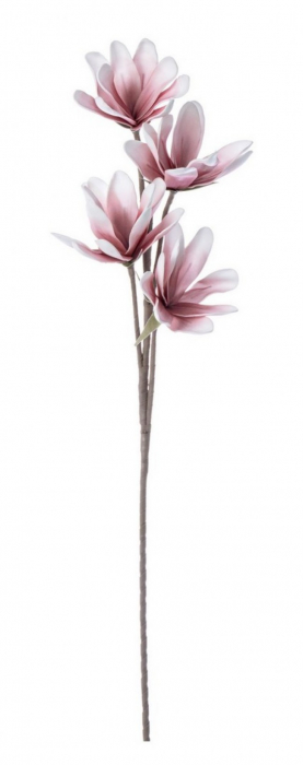 DECORATIUNE MAGNOLIE ROZ X4F H92 [1]