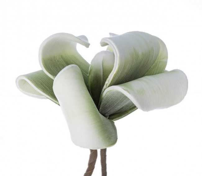 DECORATIUNE MAGNOLIE TROPICALĂ VERDE X3F H112 [2]