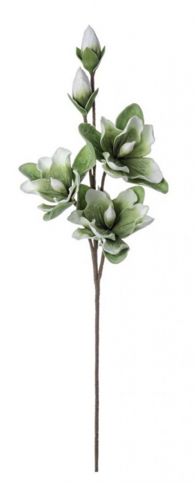 DECORATIUNE MAGNOLIE VERDE BUD X3F+2B H95 [1]