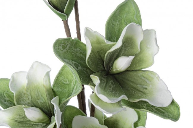 DECORATIUNE MAGNOLIE VERDE BUD X3F+2B H95 [2]