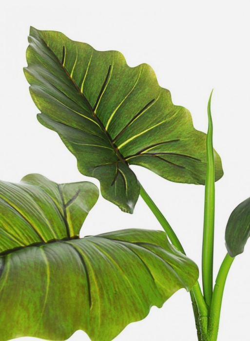 DECORATIUNE PLANTA DIEFFENBACHIA IN GHIVECI 7FOND H78 [2]