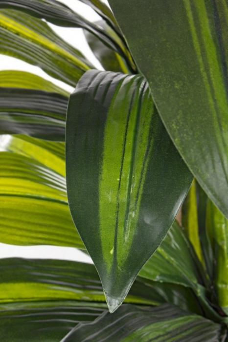 DECORATIUNE PLANTA DRACENA CU GHIVECI 43FRUNZItE H88CM [2]