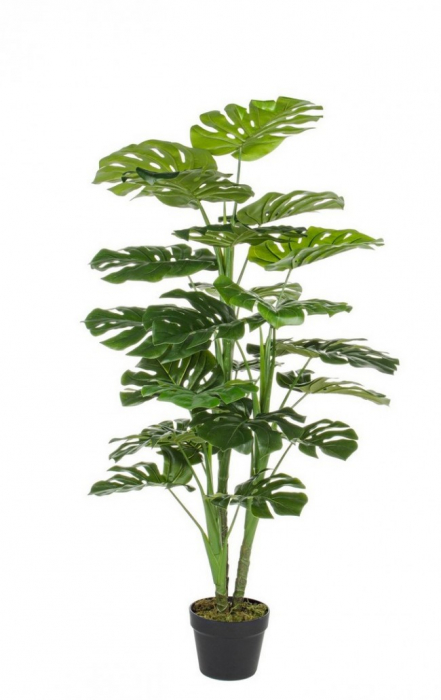 DECORATIUNE PLANTA FICUS CU GHIVECI 23FOND H120 [1]