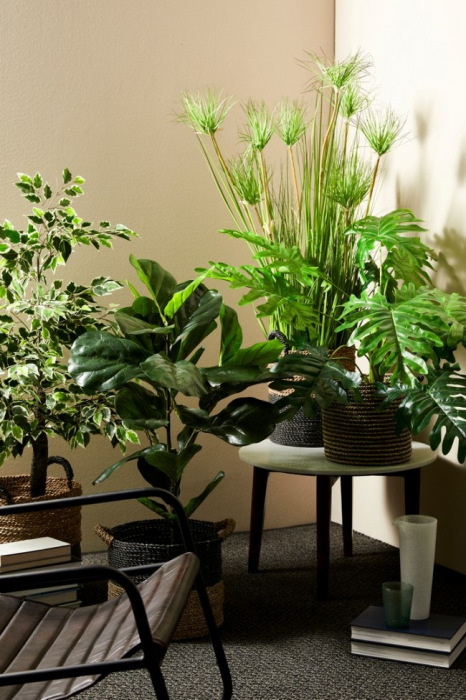 DECORATIUNE PLANTA VERDE DE DESERT IN GHIVECI X9F H120CM [2]