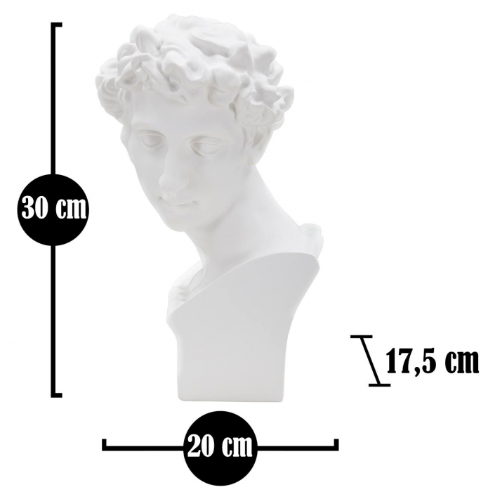 Decoratiune Roman Young, Rasina, Alb, 30x20x17.5 cm [6]