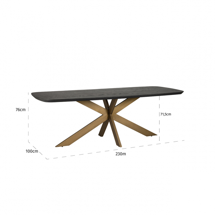 Masă de dining Cambon, 230 ovală (Cafea neagră), Dims: 76.0 x 230.0 x 100.0 cm [5]
