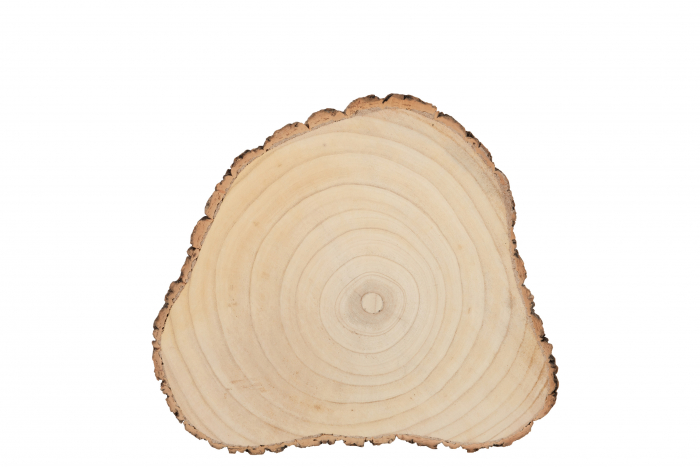 Disc lemn PAULOWNIA, Lemn, Natural, 40x34.5x3 cm [2]