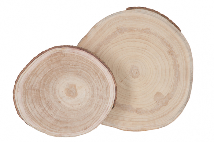 Disc Paulownia, Lemn, Natural, 25x25x3.5 cm [3]