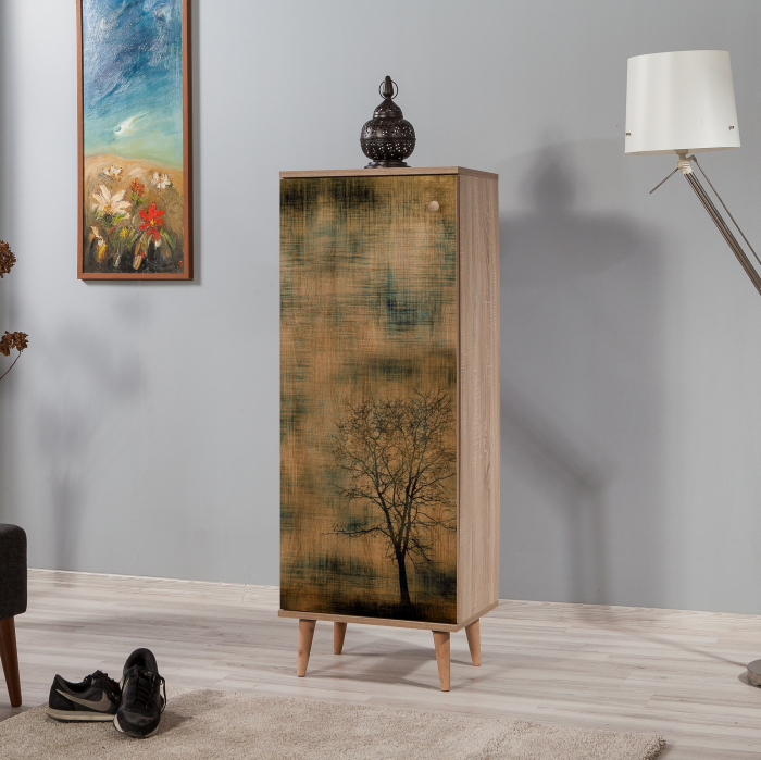 Dulap de incaltaminte