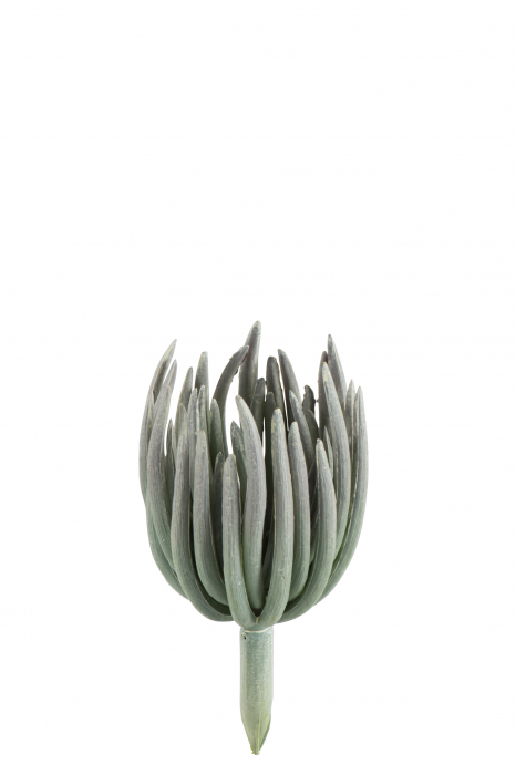 Poza Floare artificiala Echeveria, Plastic , Verde, 11x11x18 cm