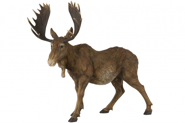 Elan Elk, Compozit, Maro, 50x21.5x47 cm