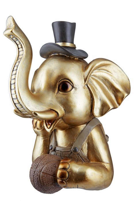 Elefant, rasina Maroni [4]