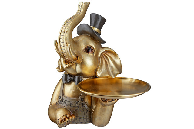Elefant, rasina Maroni [4]