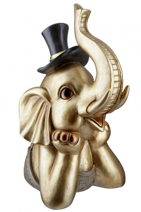 Elefant, rasina Maroni [3]