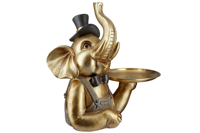 Elefant, rasina Maroni [5]