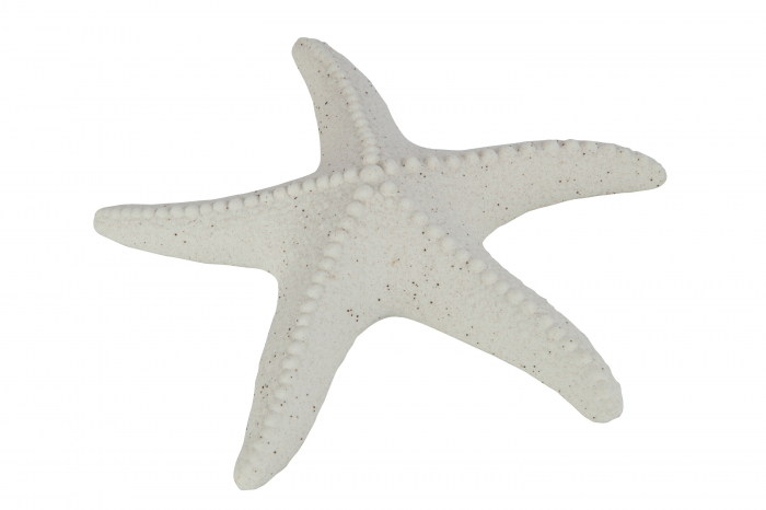 Figurina, STARFISH