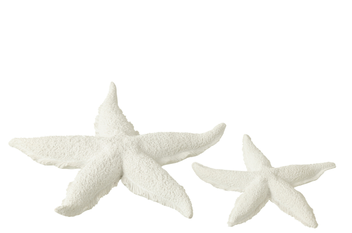 Figurina, STARFISH, L [2]
