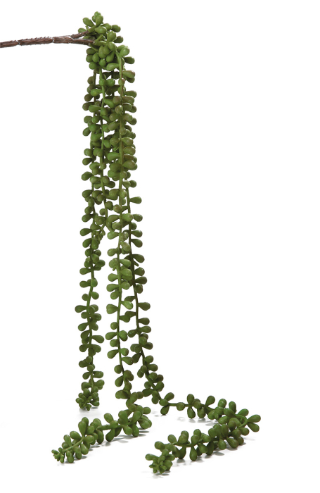 Floare artificiala, Accessories Senecio, verde, rasina, 6 x 6 x 66 cm [1]