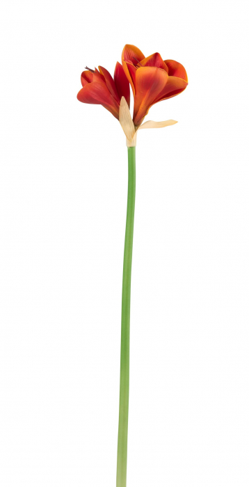 Poza Floare artificiala Amaryllis, Plastic Sintetic, Portocaliu, 9x9x71 cm