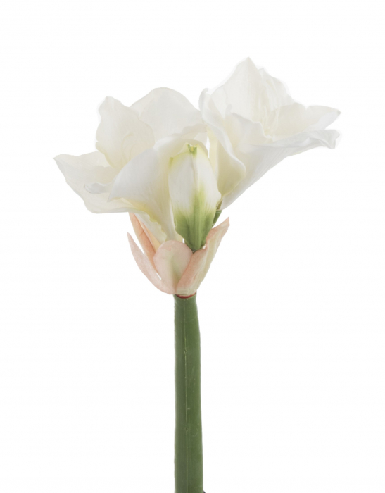 Floare artificiala Amaryllis Small, Plastic Sintetic, Alb, 10x10x36 cm