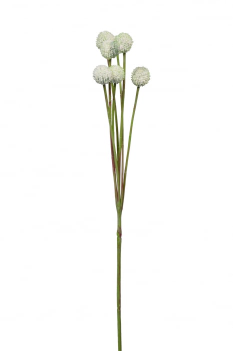 Poza Floare artificiala CRASPEDIA, Fibre sintetice, Crem, 60 cm
