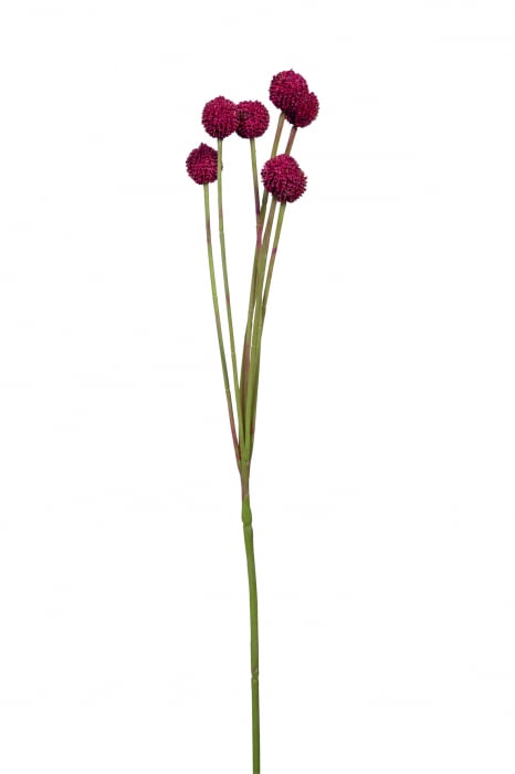 Poza Floare artificiala CRASPEDIA, Fibre sintetice, Rosu inchis, 60 cm
