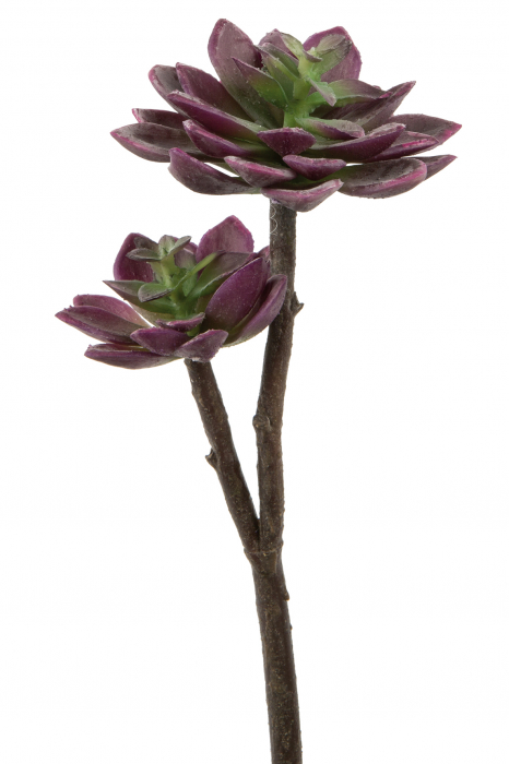 Poza Floare artificiala Echeveria, Fibre sintetice, Verde Mov, 29 cm