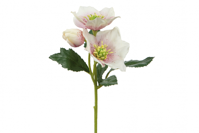 Floare artificiala Hellebores, Fibre sintetice, Multicolor, 33 cm