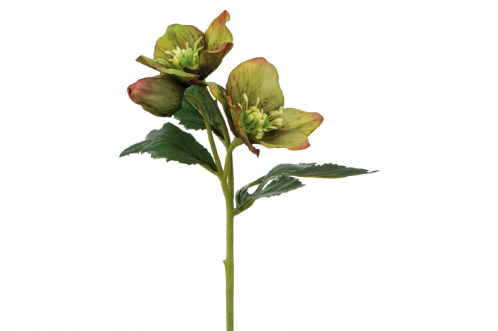 Floare artificiala Hellebores, Fibre sintetice, Verde, 33 cm