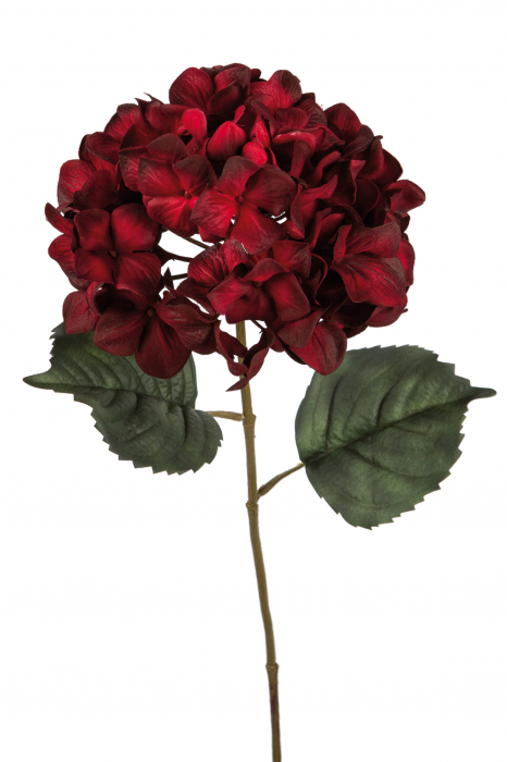 Poza Floare artificiala hortensie, Fibre artificiale, Rosu inchis, 68 cm