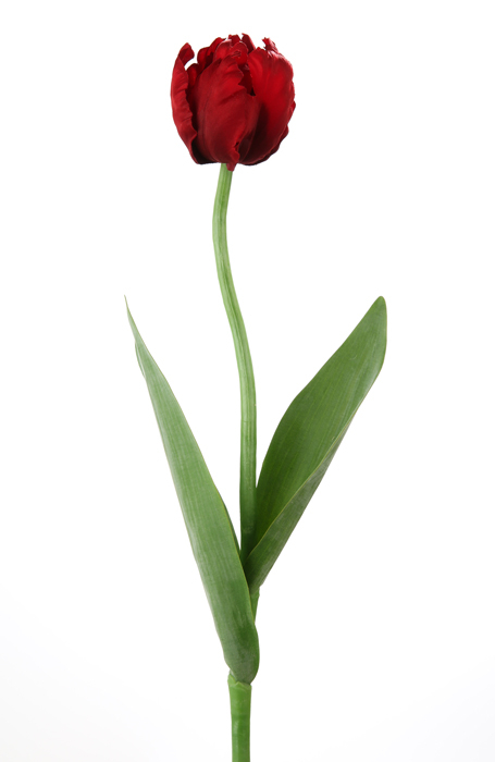 Poza Floare artificiala lalea Tulip, Fibre artificiale, Rosu Verde, 61 cm