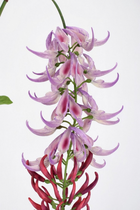 Floare Artificiala, Macuna Kaylin Violet H142Cm [2]