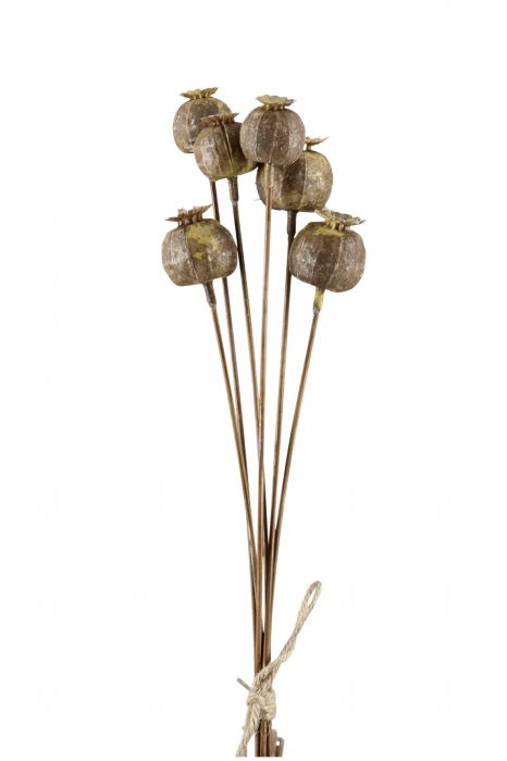 Poza Floare artificiala Mohnkapsel, Fibre artificiale, Maro, 6x67 cm