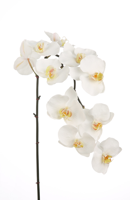Poza Floare artificiala orhidee, Fibre artificiale, Alb, 105 cm