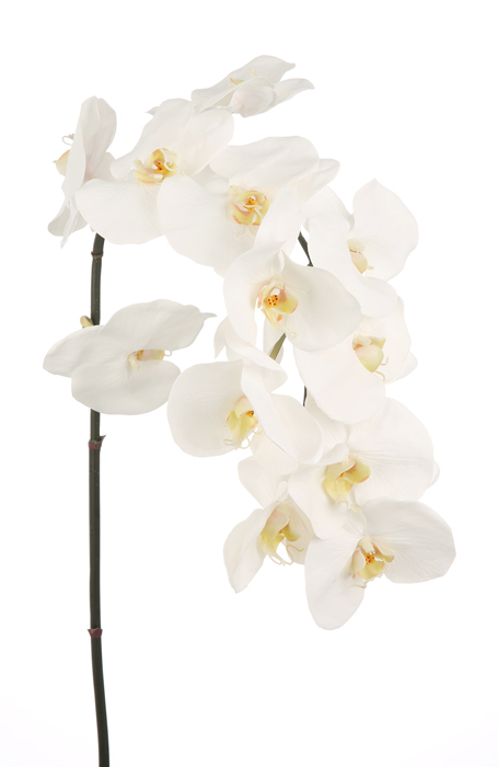 Floare artificiala orhidee, Fibre artificiale, Alb, 112 cm