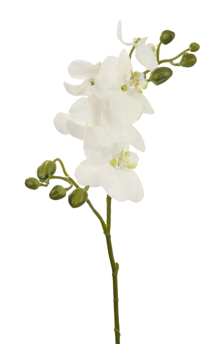 Poza Floare artificiala orhidee, Fibre artificiale, Alb, 74 cm
