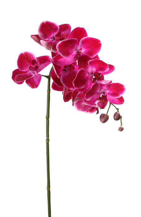 Poza Floare artificiala orhidee, Fibre artificiale, Violet, 75 cm