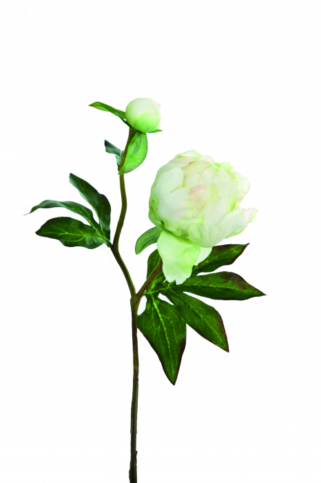 Floare artificiala Peony, Fibre artificiale, Crem Verde deschis, 45 cm