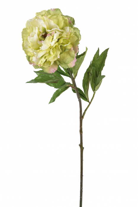 Floare artificiala Peony, Fibre artificiale, Verde, 80 cm
