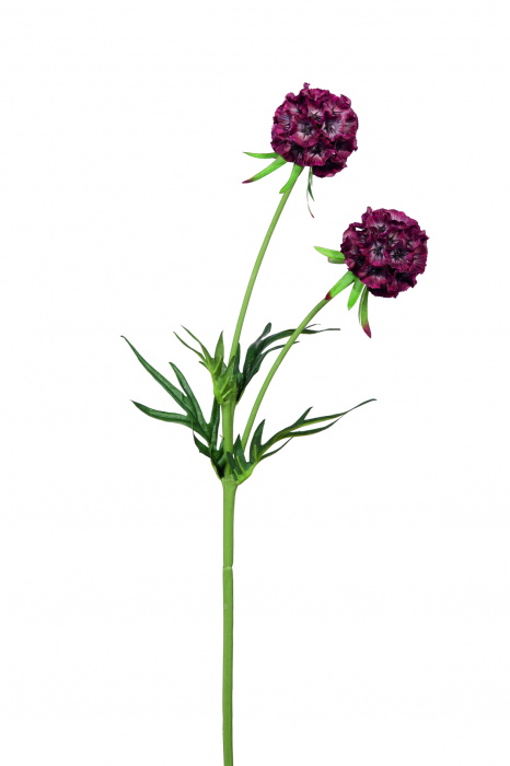 Poza Floare artificiala SCABIOSA, Fibre sintetice, Verde Rosu inchis, 55 cm
