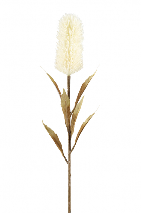 Floare artificiala Schilfkolben, Fibre artificiale, Alb, 5x77 cm