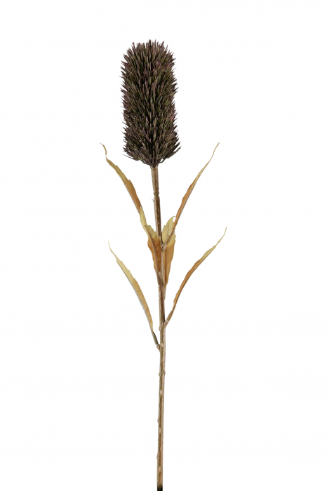 Floare artificiala Schilfkolben, Fibre artificiale, Maro, 5x77 cm