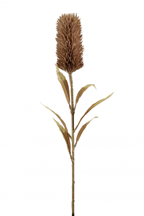 Poza Floare artificiala Schilfkolben, Fibre artificiale, Rosu, 5x77 cm