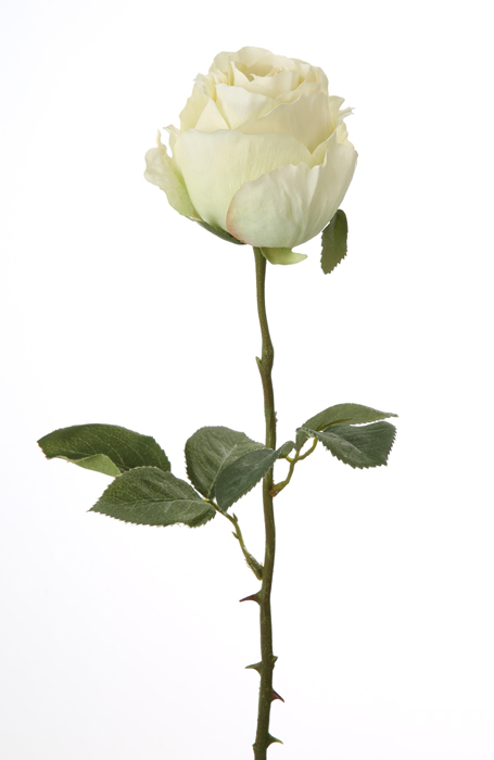Floare artificiala trandafir Rose, Fibre artificiale, Crem Verde, 60 cm