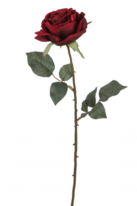 Poza Floare artificiala trandafir Rose, Fibre artificiale, Rosu, 66 cm