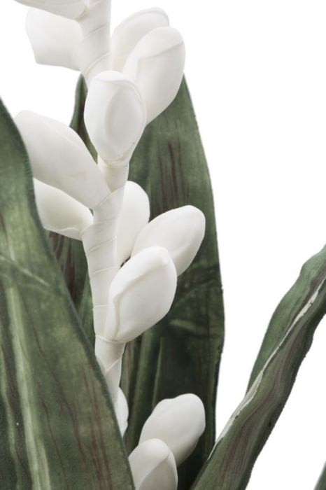 Floare de aloe alba cm ø 23x93 [3]
