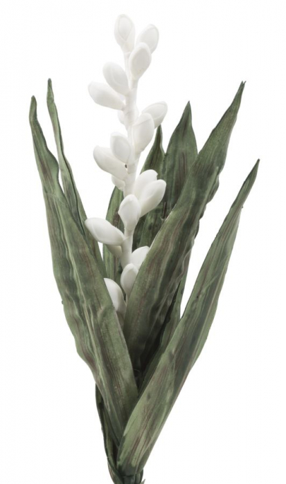 Floare de aloe alba cm ø 23x93 [2]
