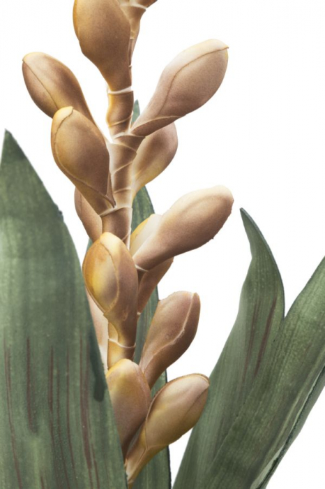 Floare de aloe galben cm ø 23x93 [3]