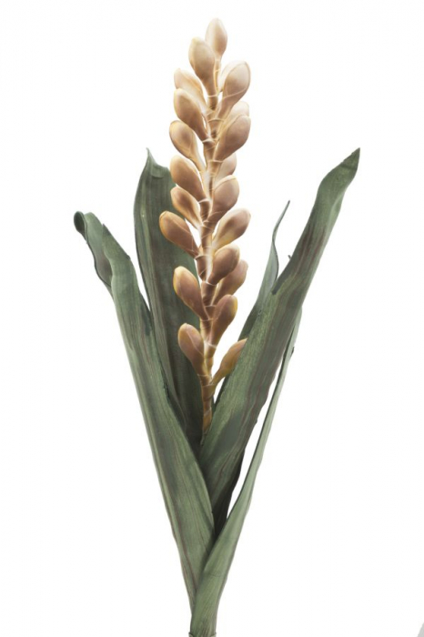 Floare de aloe galben cm ø 23x93 [2]